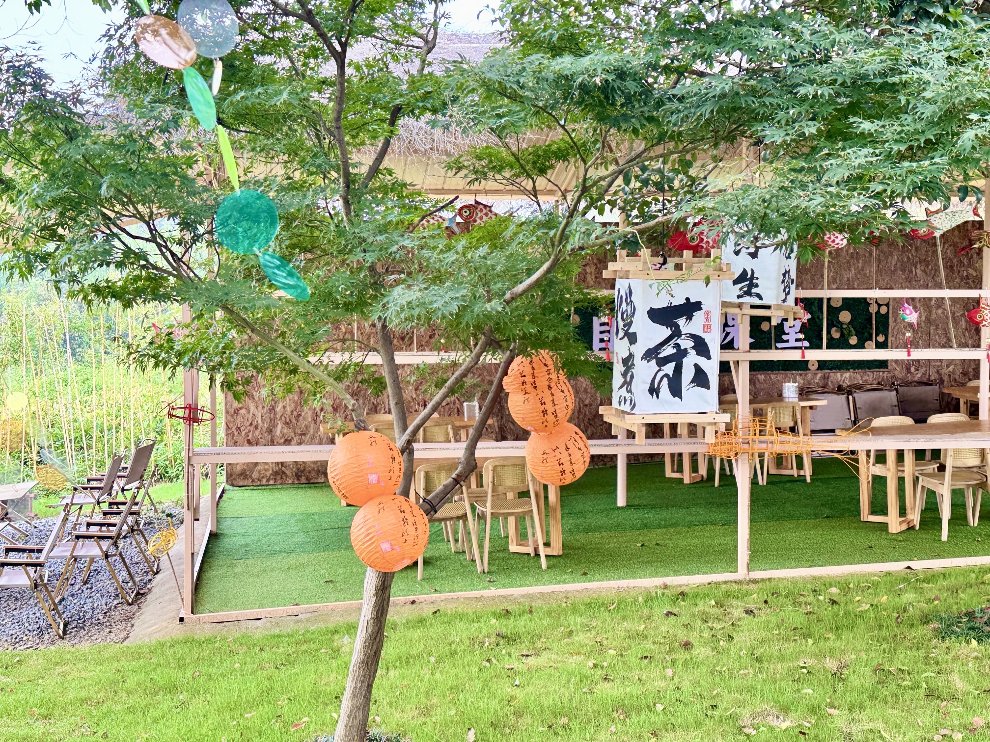 横山国家森林公园图片