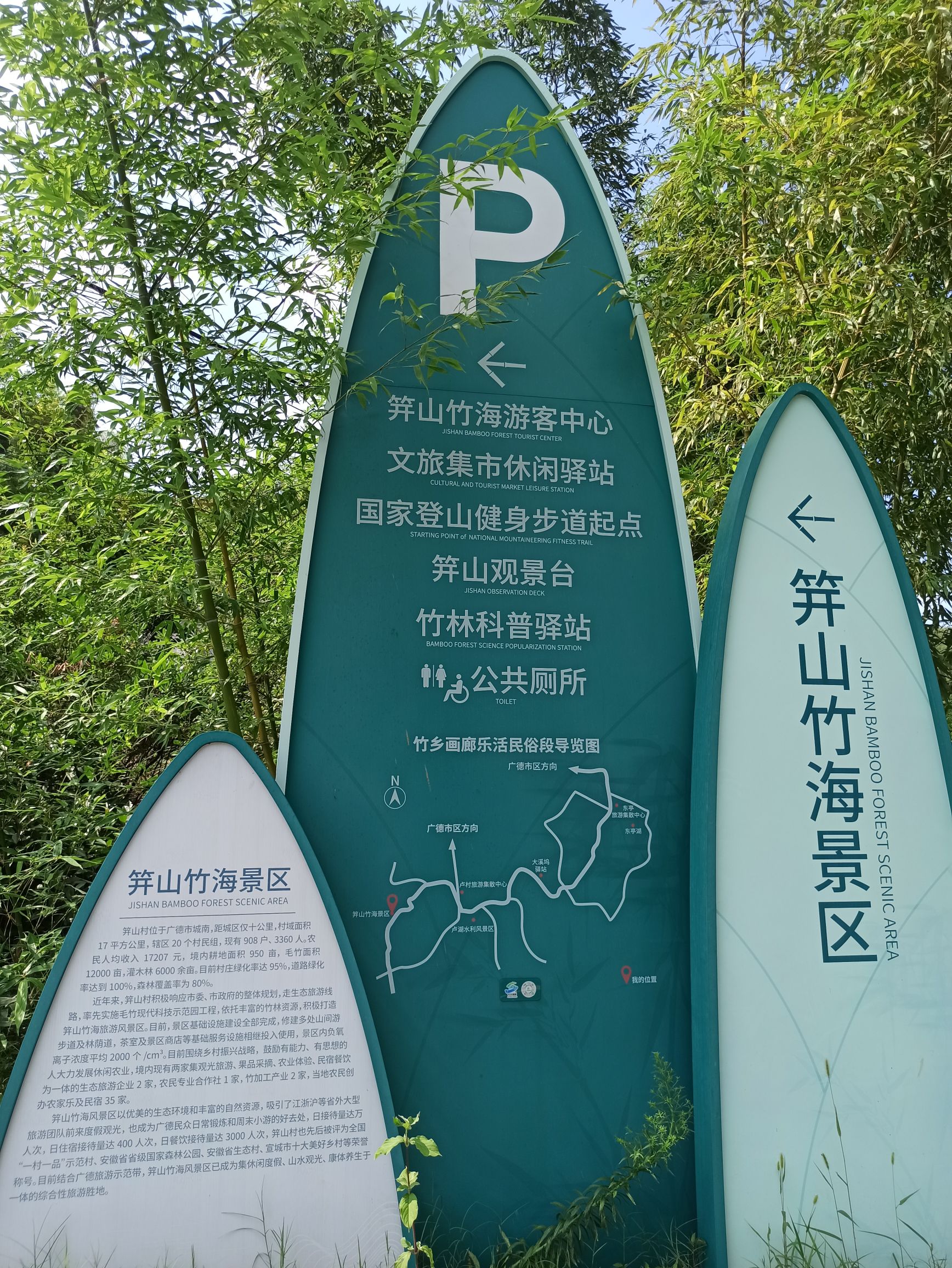 广德笄山竹海图片