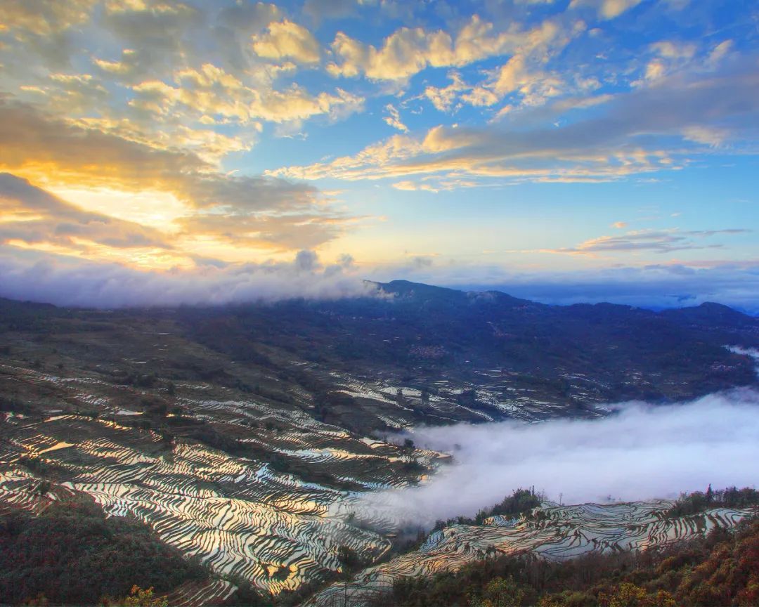 元阳梯田图片
