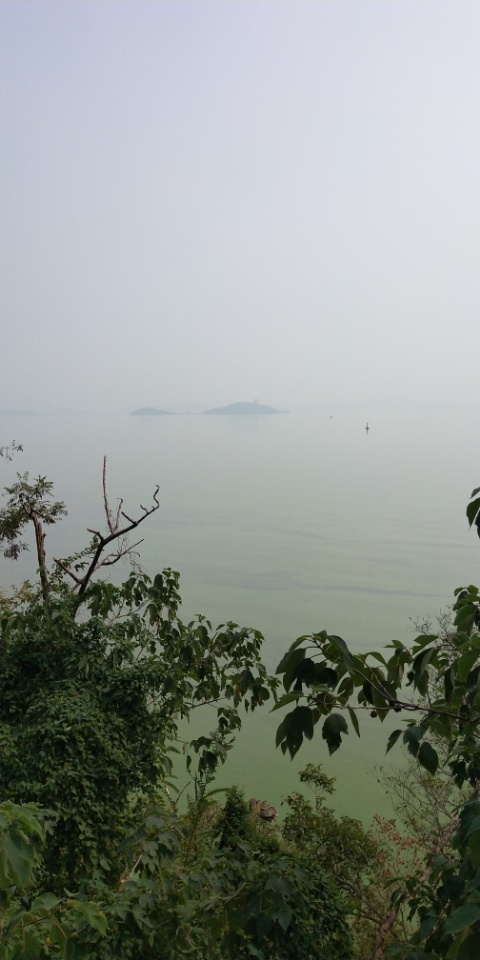 巢湖岸边湿地徒步