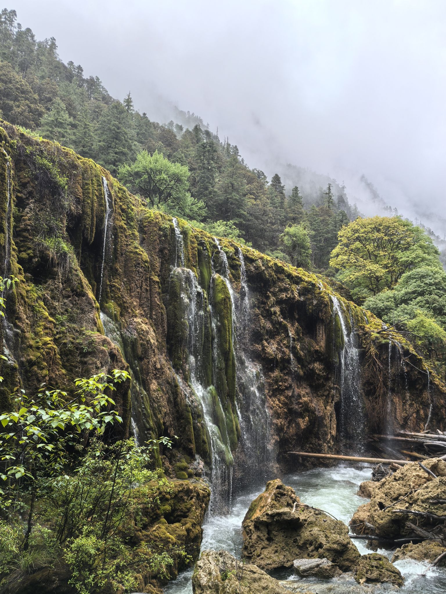 尼汝村图片